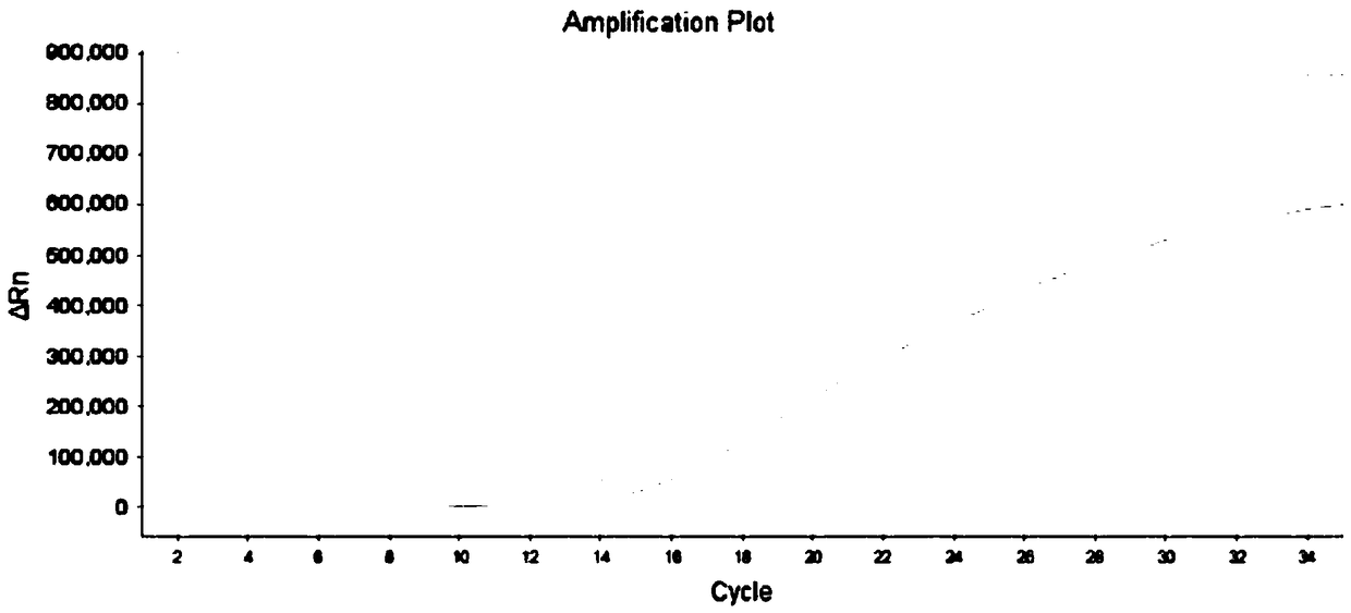 Composition and kit for detecting polymorphism of human MDR1 gene, sample treatment method and application thereof