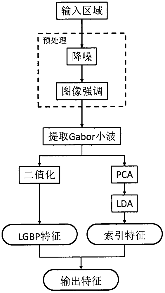 Palm vein recognition system and method and computer readable storage medium