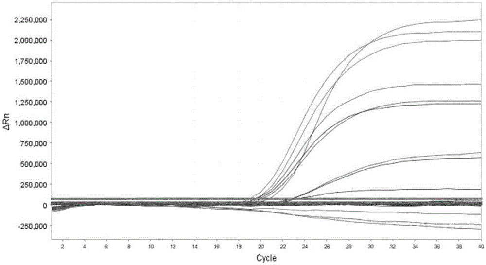 Detecting kit and method for influenza viruses A and B, human metapneumovirus and human coronaviruses NL63, HKU1 and OC43