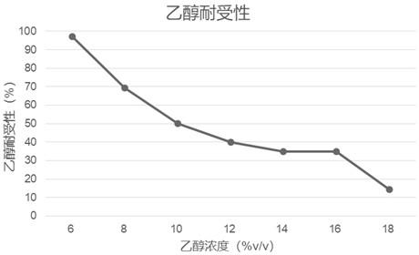 Saccharomyces cerevisiae and microbial agent as well as application thereof to preparation of fermented product and particularly brewing of wine in Huazhuo basin