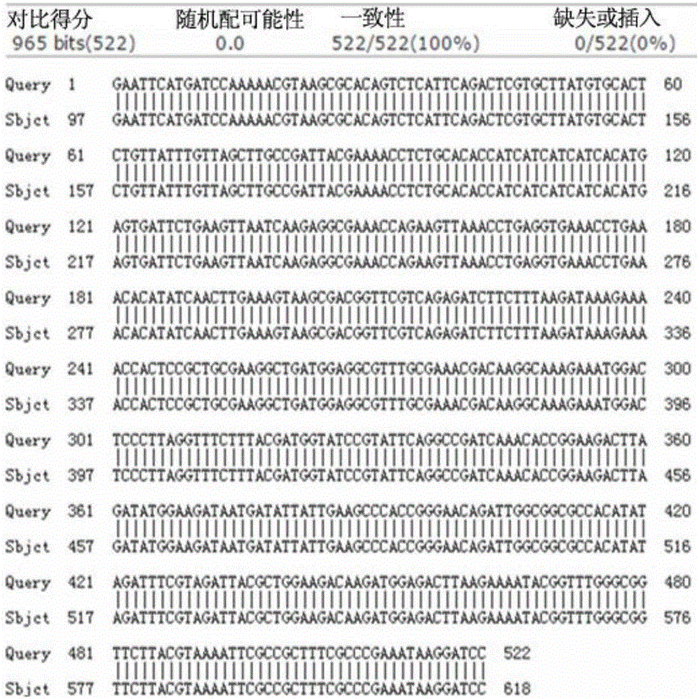 Hybrid peptide expressed via Bacillus subtilis, and preparation method and application thereof