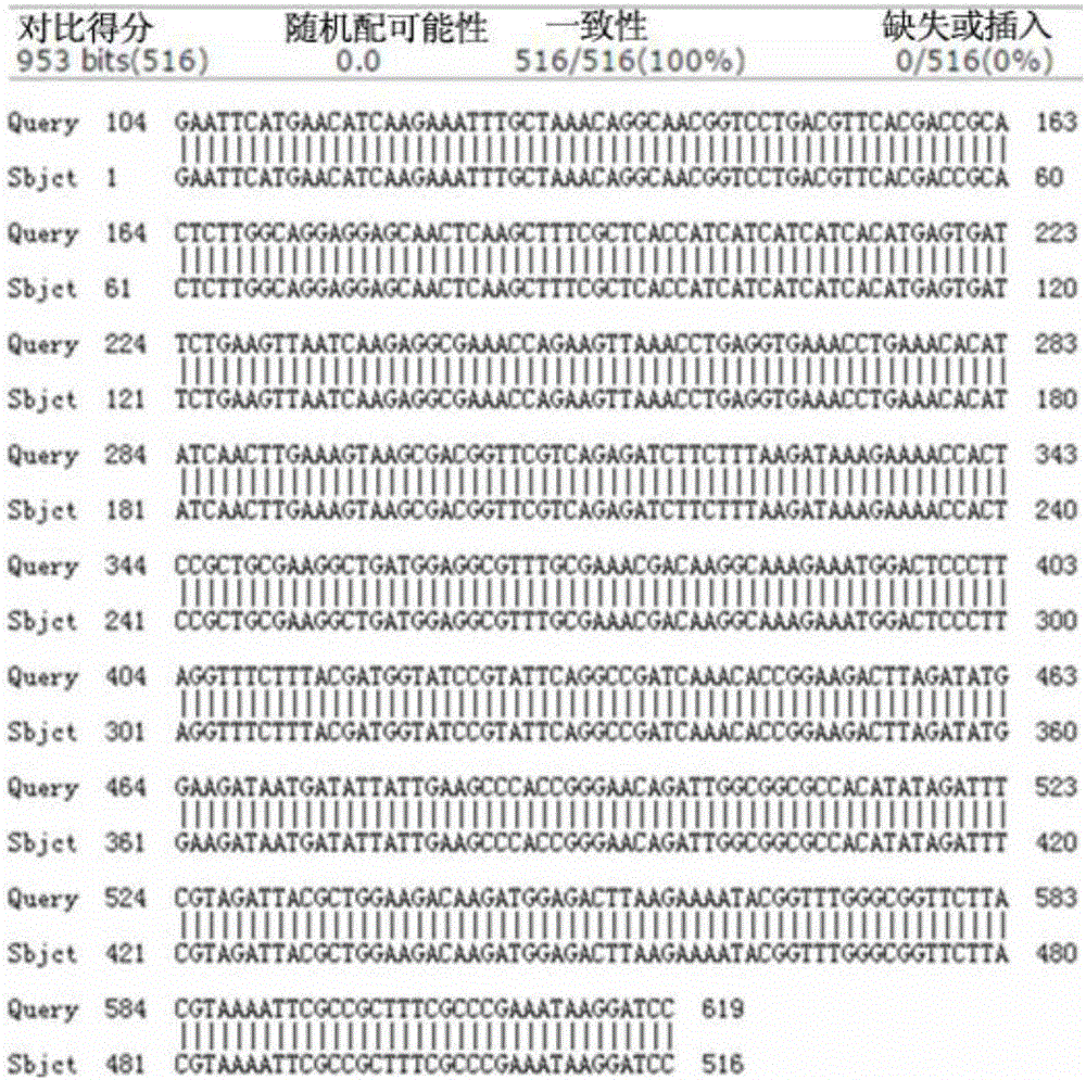 Hybrid peptide expressed via Bacillus subtilis, and preparation method and application thereof