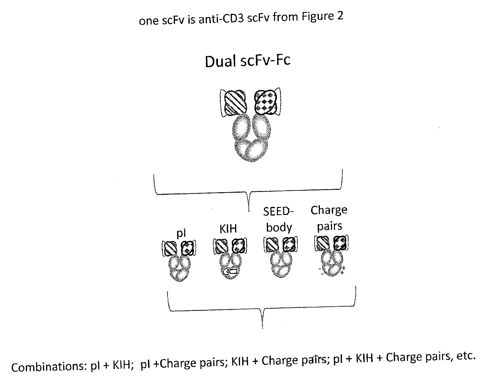 Optimized Anti-cd3 variable regions