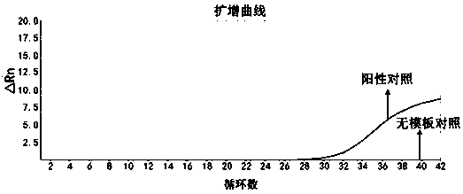 Kit and method for methylation detection of cervical high-grade cervical lesions and cervical cancer related genes