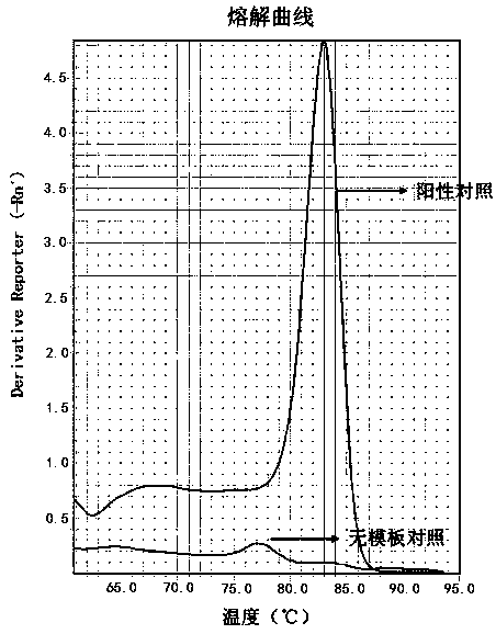 Kit and method for methylation detection of cervical high-grade cervical lesions and cervical cancer related genes