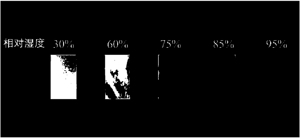 Chiral nematic cellulose nanocrystal-glycerol composite film and preparation method and application thereof