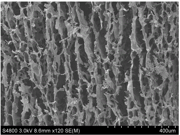 Magnetic aerogel and preparation method thereof