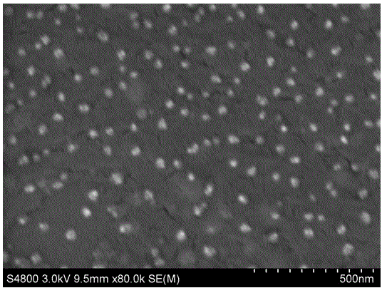 Magnetic aerogel and preparation method thereof