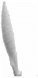 YE JIAN dark tea and processing method thereof