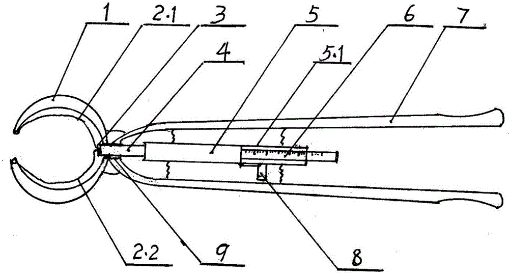 Livestock cannon circumference measuring instrument