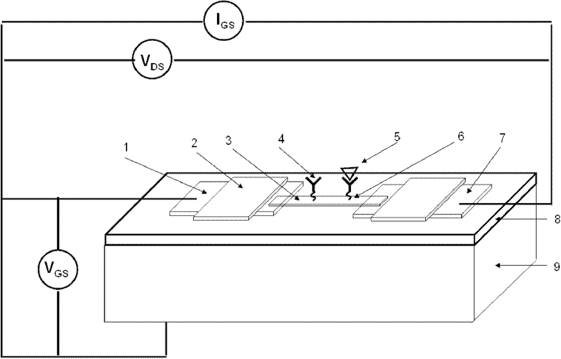 Field effect transistor-based tumor diagnosis apparatus and assay method thereof