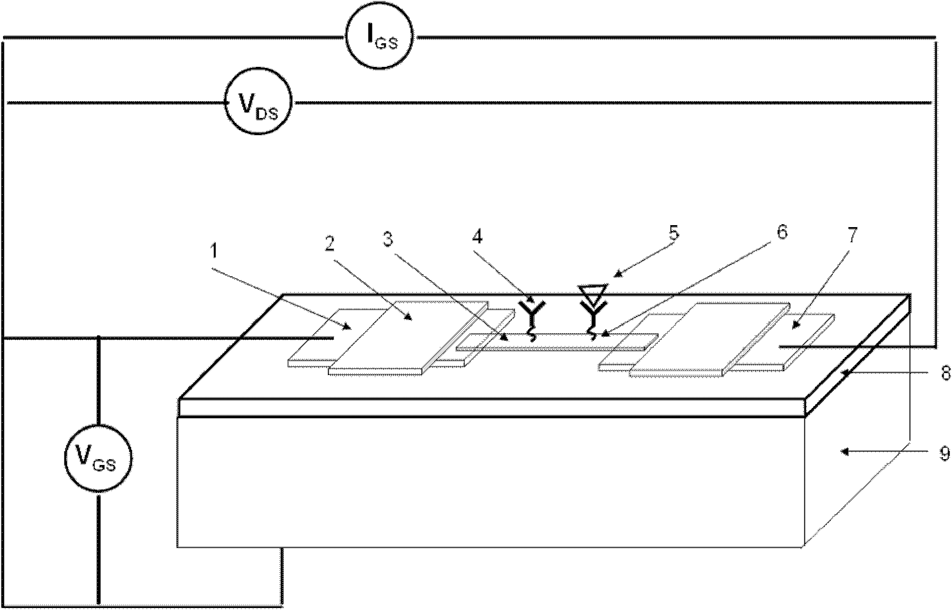 Field effect transistor-based tumor diagnosis apparatus and assay method thereof