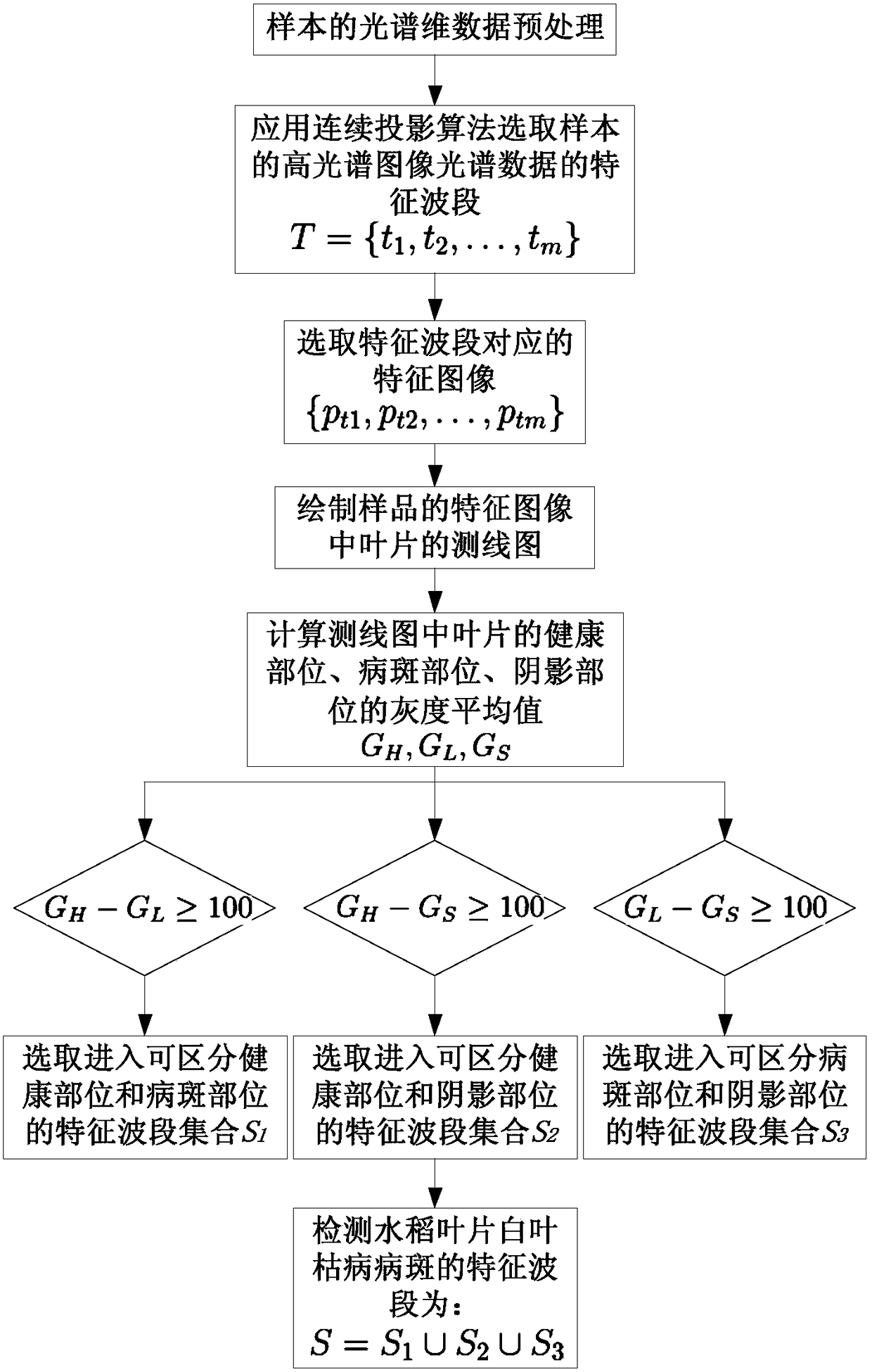 Dimensionality reduction method for rice bacterial blight hyperspectral image based on line graph