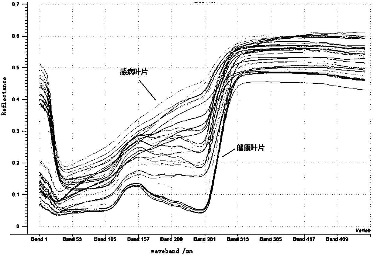 Dimensionality reduction method for rice bacterial blight hyperspectral image based on line graph