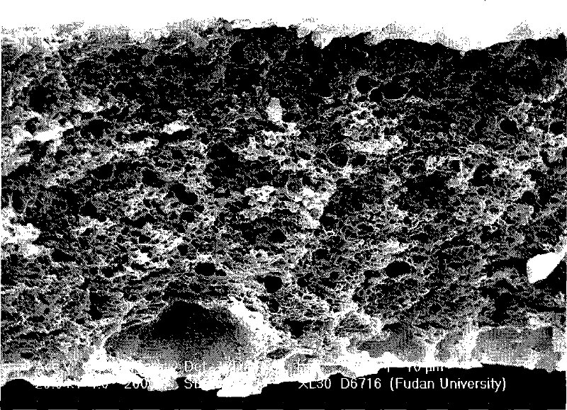 Polymer film having micropore structure, preparation and application thereof