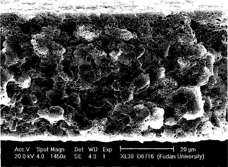 Polymer film having micropore structure, preparation and application thereof