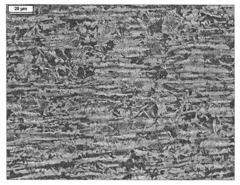 Method for producing 30CrMo hot rolled steel plate