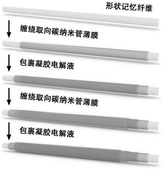 Coaxial line super capacitor with shape memory and preparation method thereof