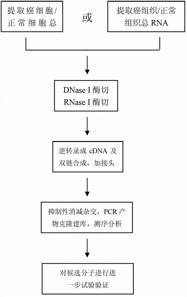 Method for screening natural antisense transcripts related to human tumor