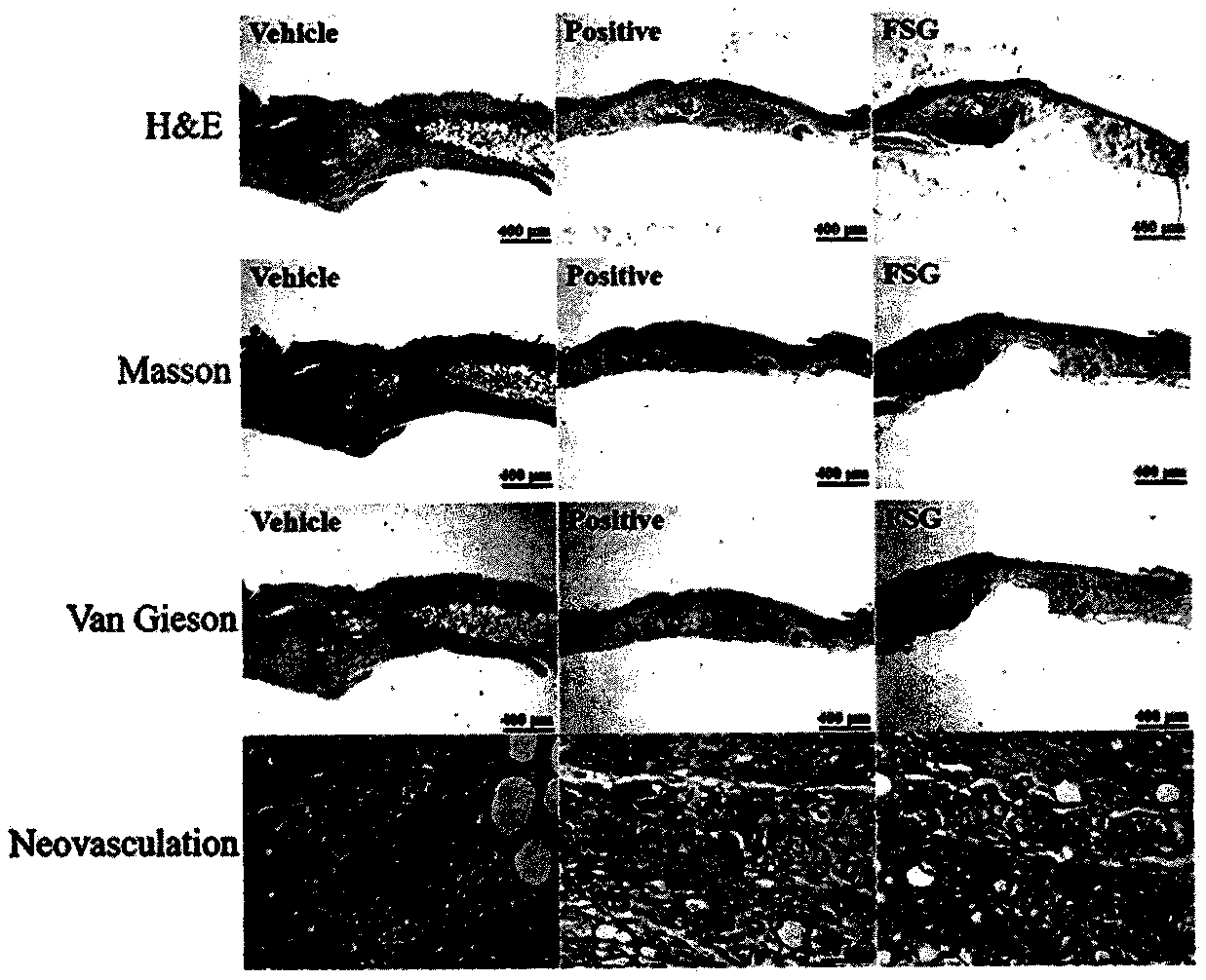 Soybean fermentation composition for skin wound healing and preparation method thereof