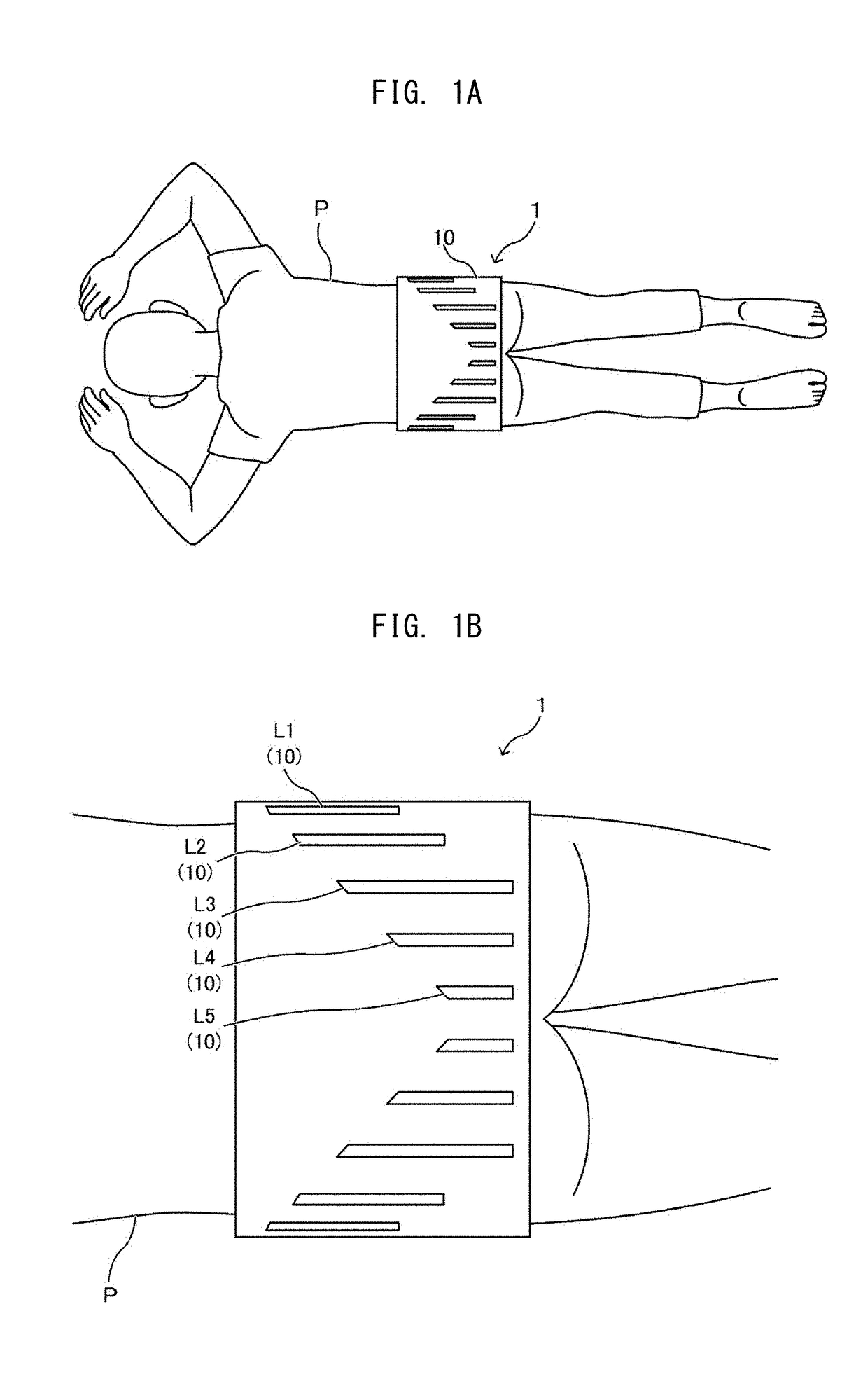 Pelvis correction equipment formed of  combination of pelvis belt and pressing correction equipment