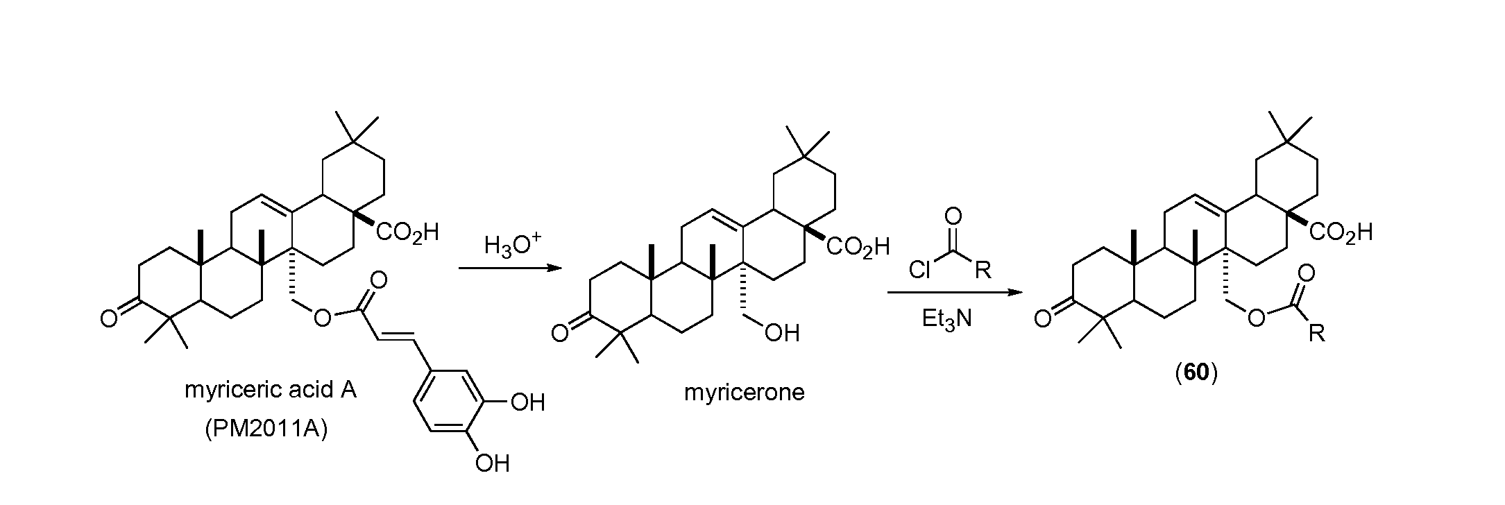 Myriceric acid derivatives for the treatment of cancer, cardiovascular and inflammatory diseases