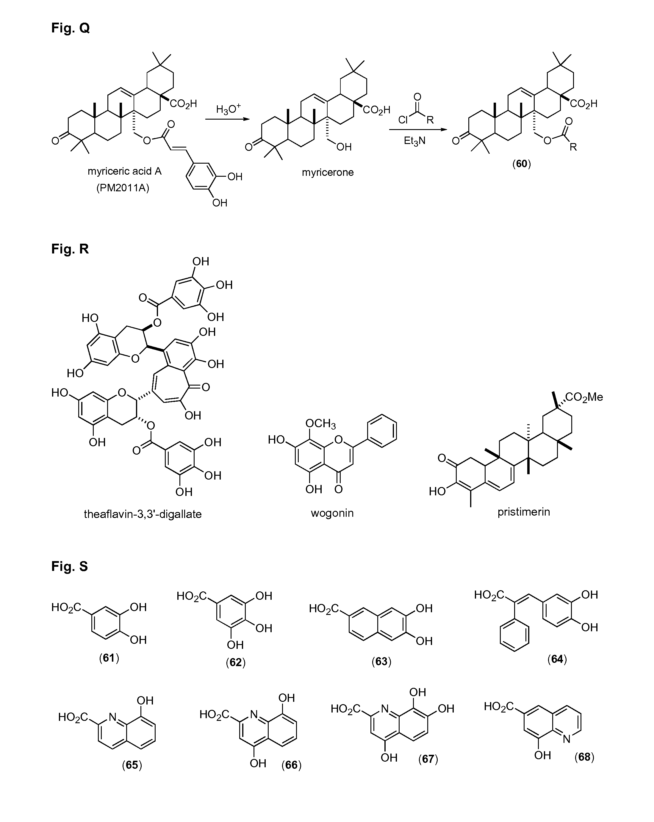 Myriceric acid derivatives for the treatment of cancer, cardiovascular and inflammatory diseases