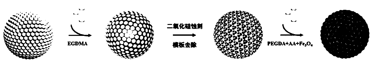 Preparation method and application of magnetic structural color hydrogel microcarrier for bladder cancer protein multi-element analysis