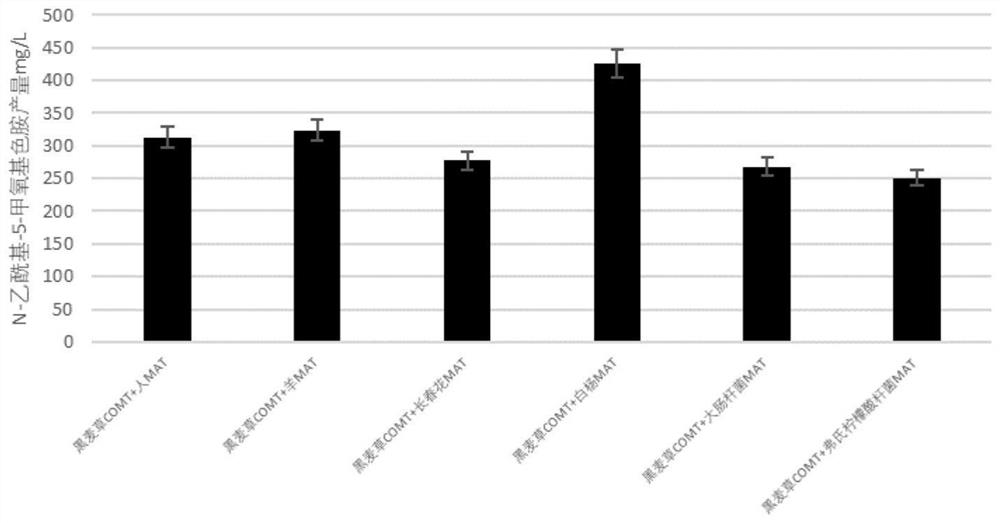 Genetically engineered bacterium for producing N-acetyl-5-methoxytryptamine as well as construction method and application of genetically engineered bacterium