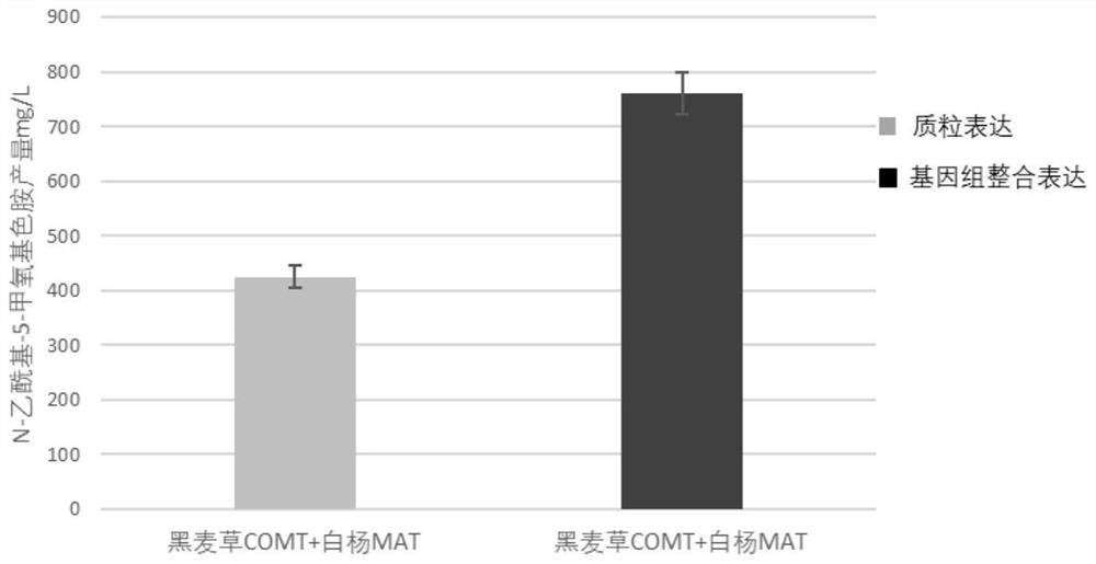 Genetically engineered bacterium for producing N-acetyl-5-methoxytryptamine as well as construction method and application of genetically engineered bacterium