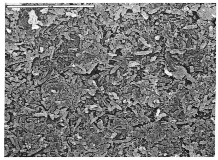 Modified aluminum oxide carrier and preparation method thereof