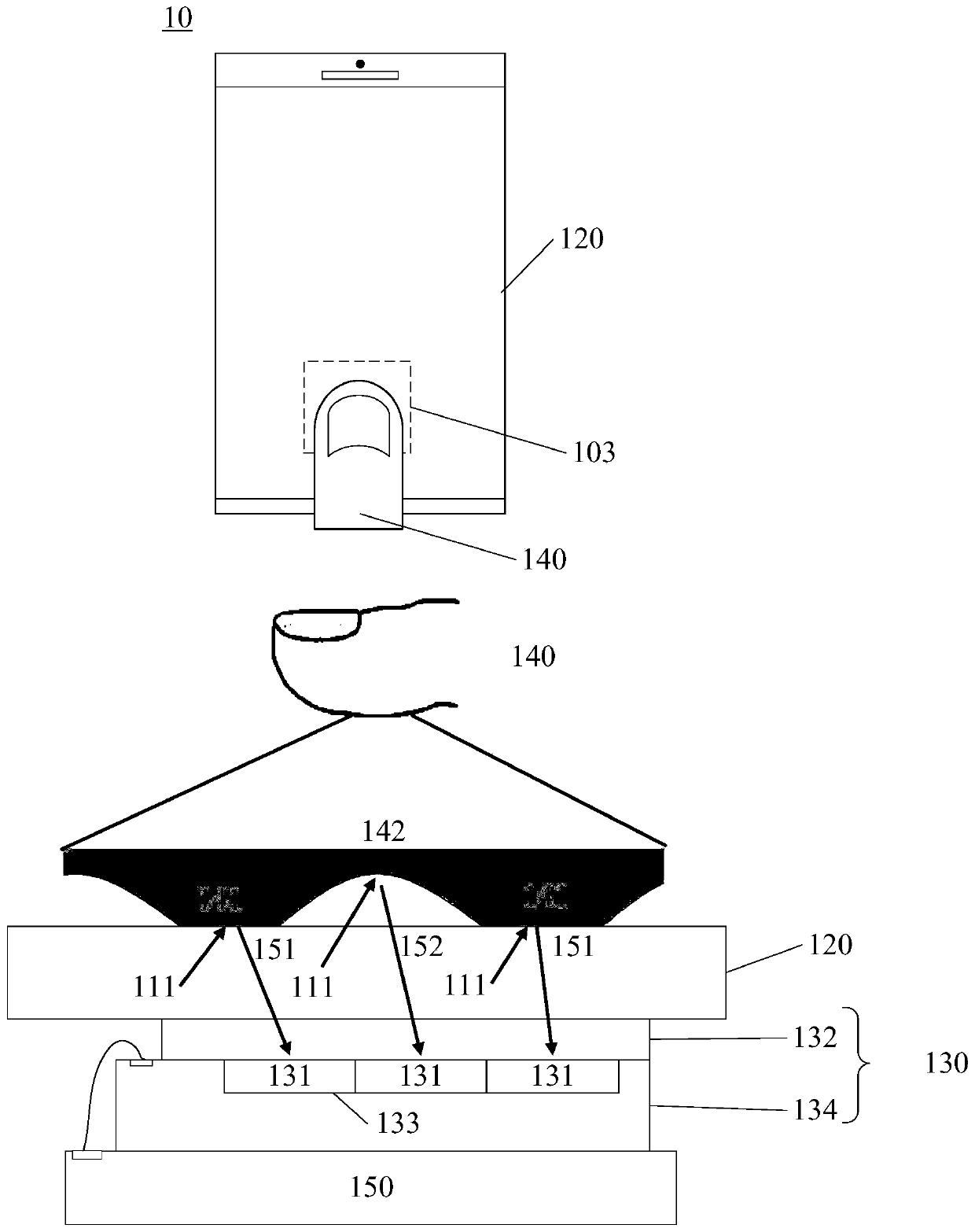 Fingerprint identification device and electronic equipment