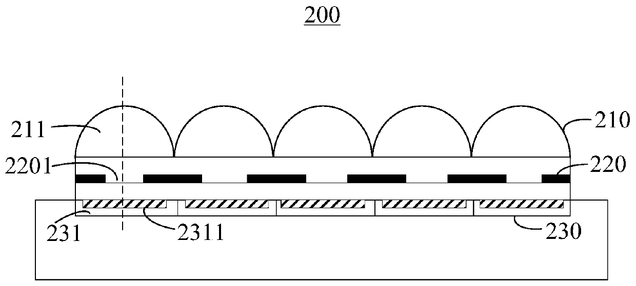 Fingerprint identification device and electronic equipment