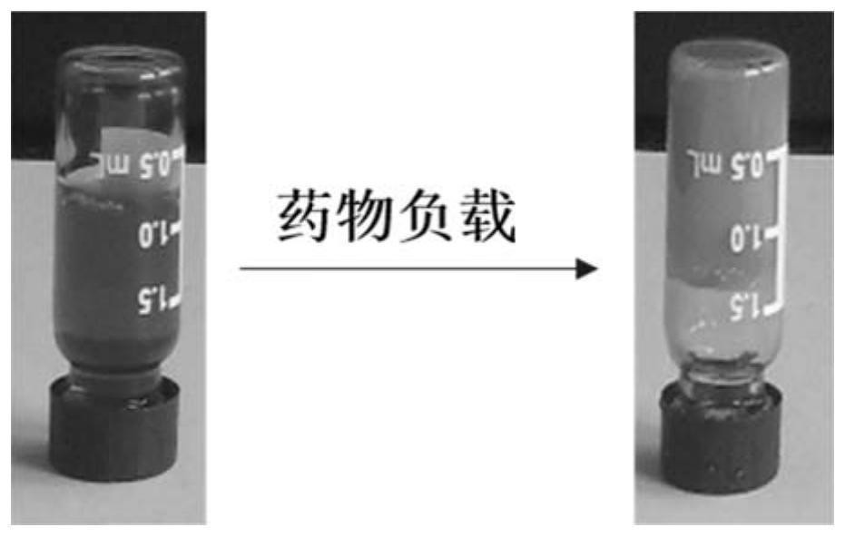 A kind of cellulose graft copolymer and its preparation method and application in injectable hydrogel