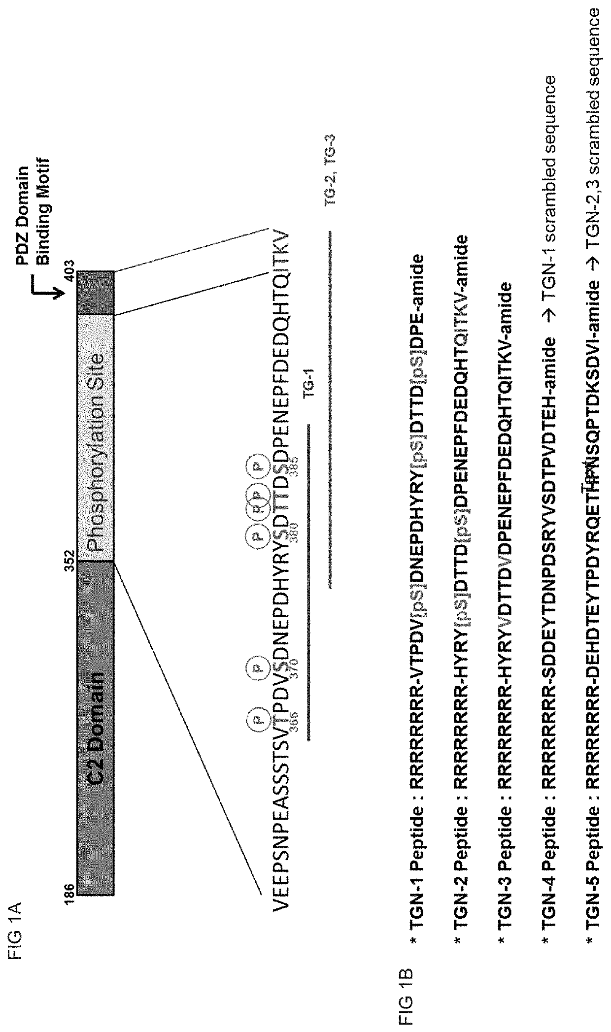 Treatment of damaged nerve with PTEN inhibitor