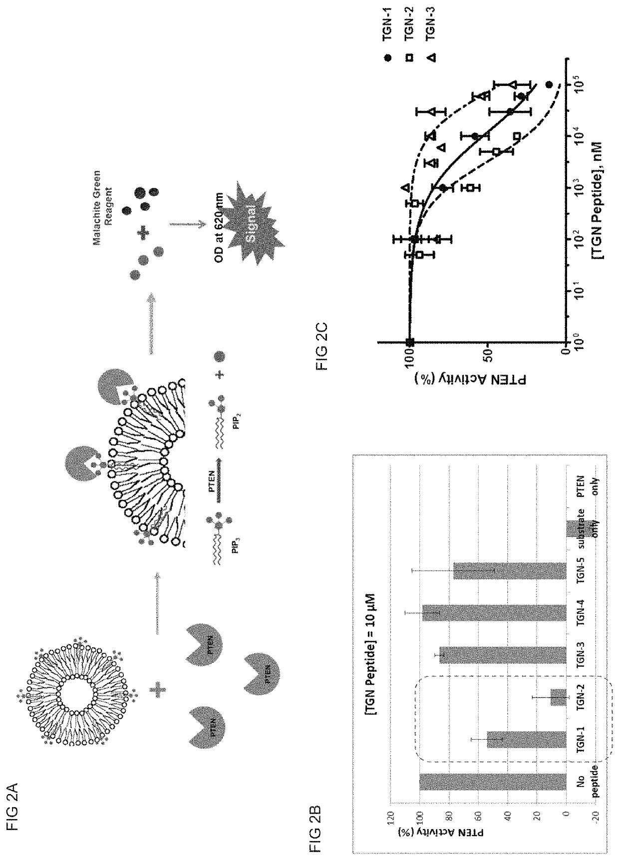 Treatment of damaged nerve with PTEN inhibitor