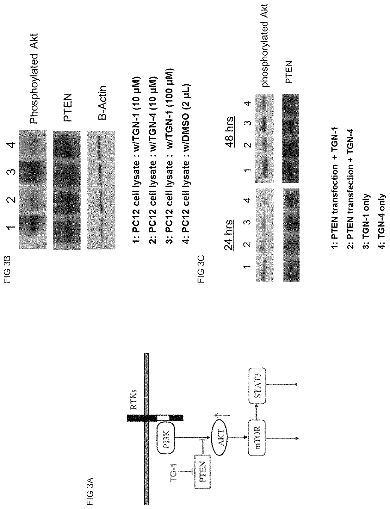 Treatment of damaged nerve with PTEN inhibitor