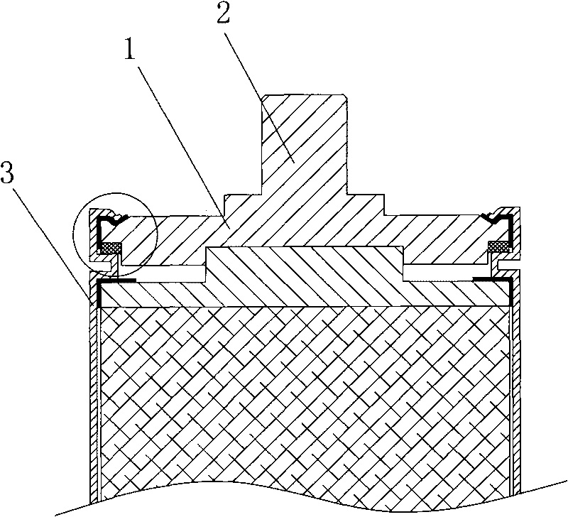 Electrode leading structure and electricity storage electric element adopting thereof