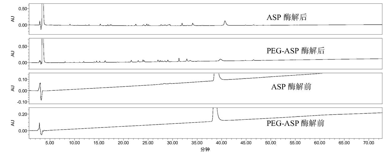 Enzymatic hydrolysis peptide map analysis method for polyethylene glycol modified protein medicine