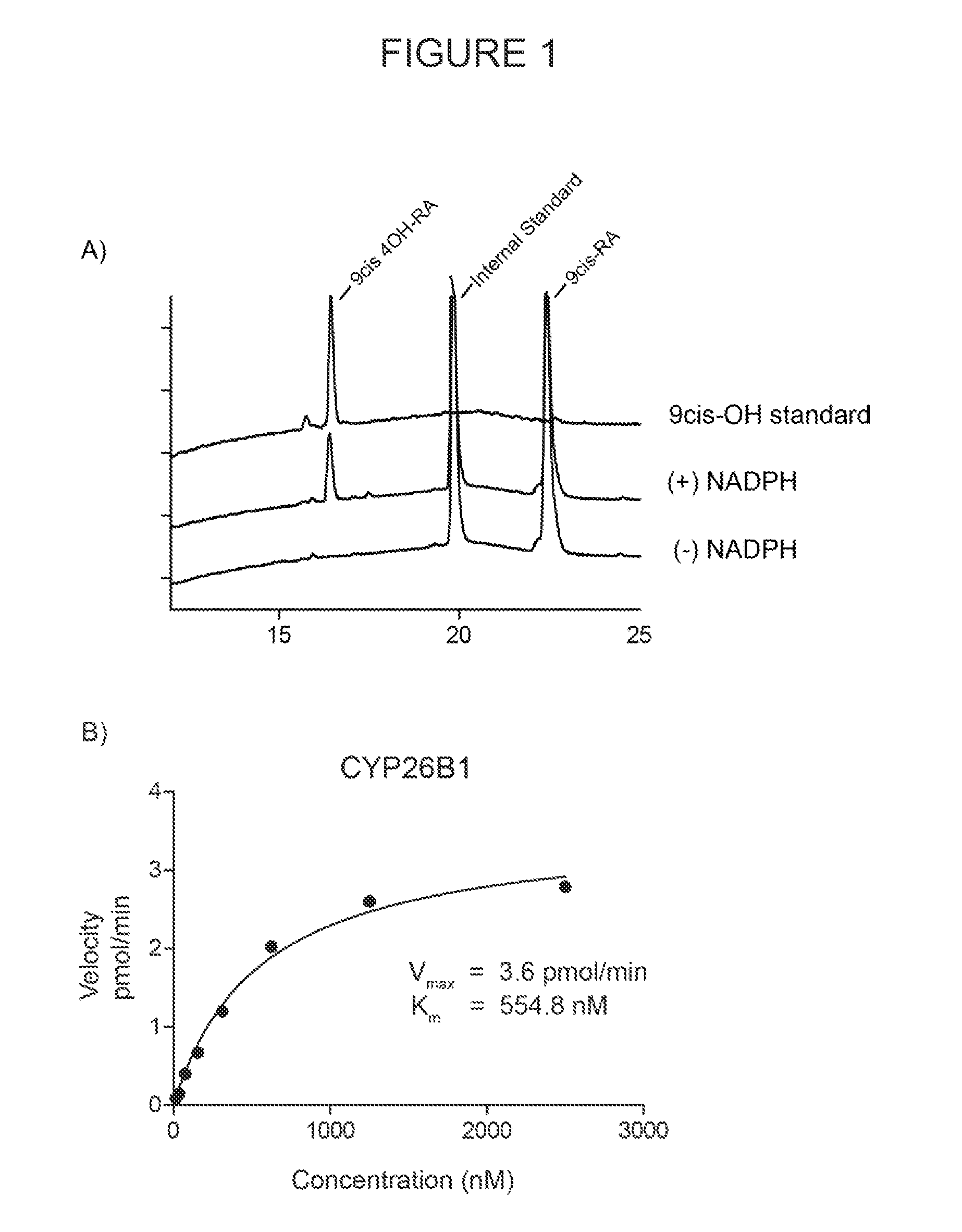 Novel and specific inhibitors of cytochrome p450 26 retinoic acid hydroxylase