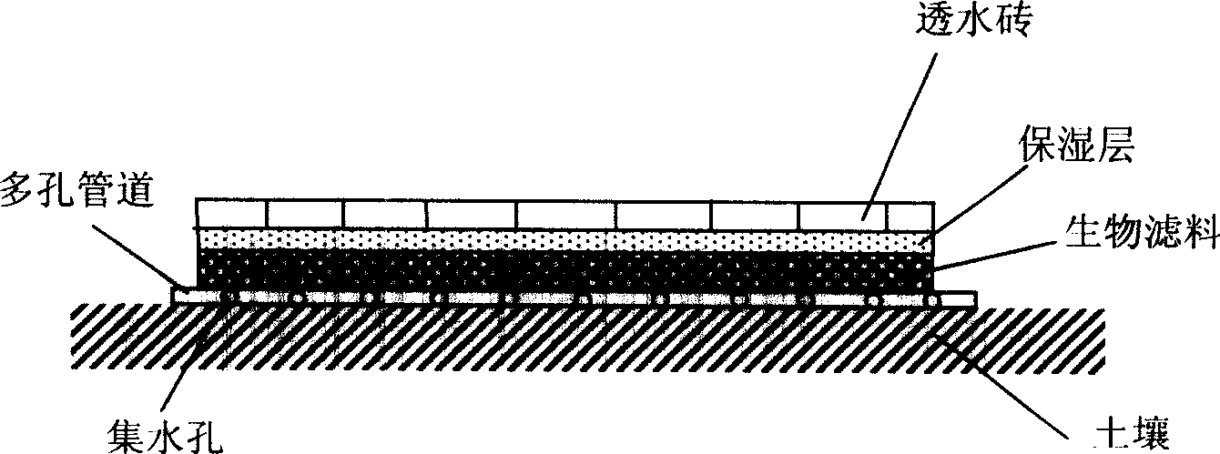 New rain water treating technique-road biological treatment method