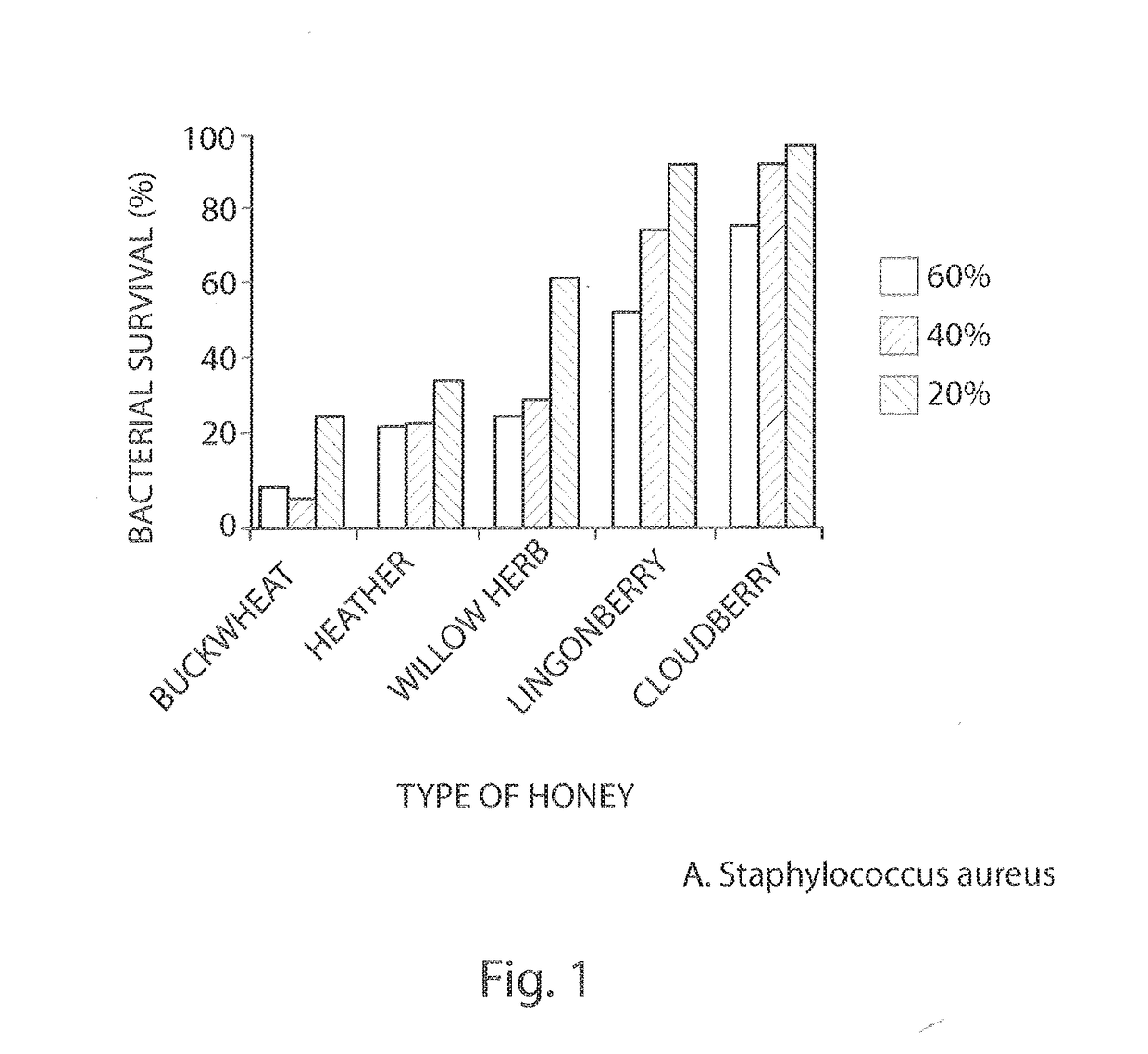 Buckwheat honey and bacitracin wound-healing dressing