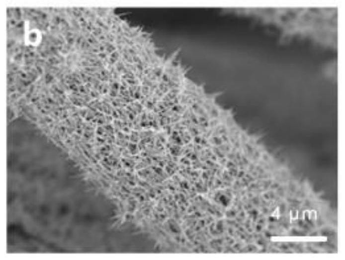 A phosphorus-doped tungsten sulfide@tungsten oxide porous core-shell nanowire flexible array electrode and its preparation method