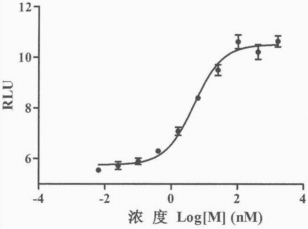 Method for determining receptor affinity of GLP-1 receptor agonist