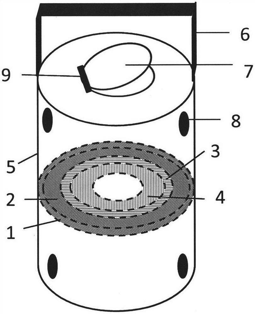 Animal underwater impact injury protection device