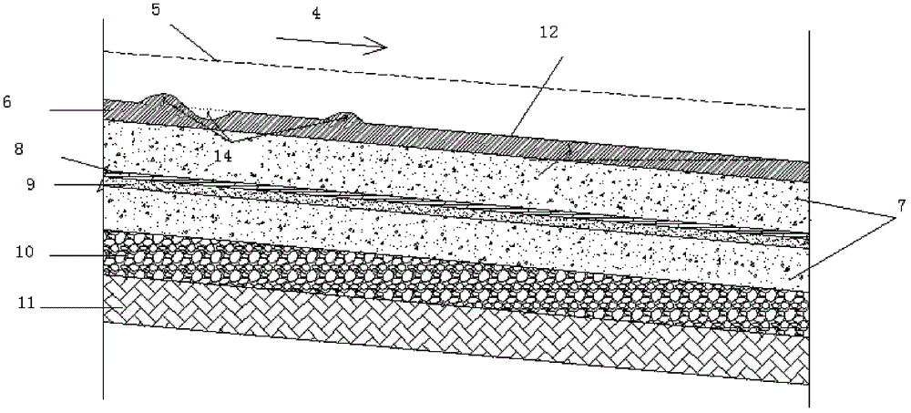 Plant half-naked planting method for improving purification efficiency of surface flow constructed wetlands substantially