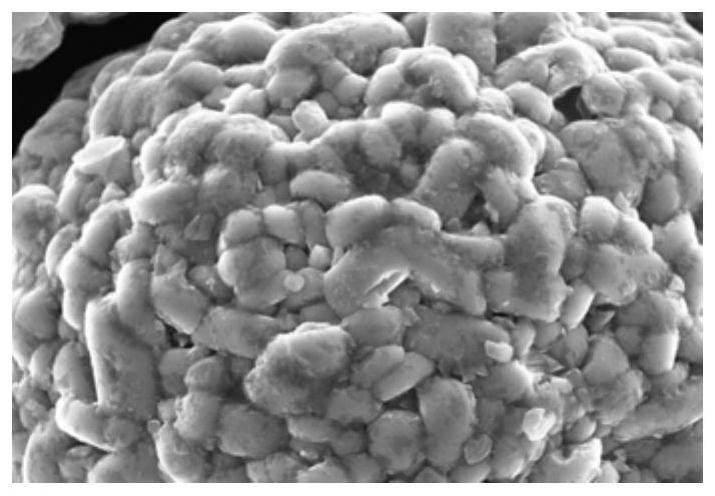 The preparation method of high -nickel tripular positive materials for lithium -ion batteries covered with lithium salt covered layers and lithium ion batteries