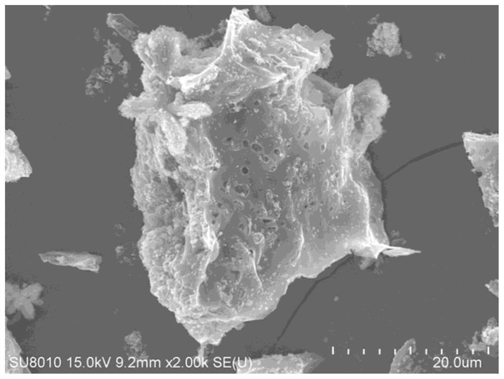 Biochar-based supramolecular self-assembled carbon nitride composite photocatalytic material as well as preparation method and application thereof