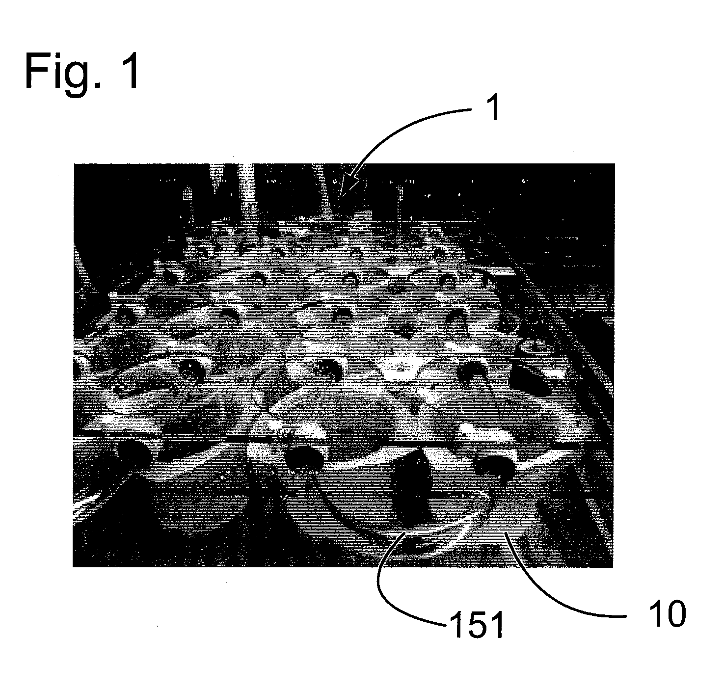 Method and apparatus for culturing marine larvae