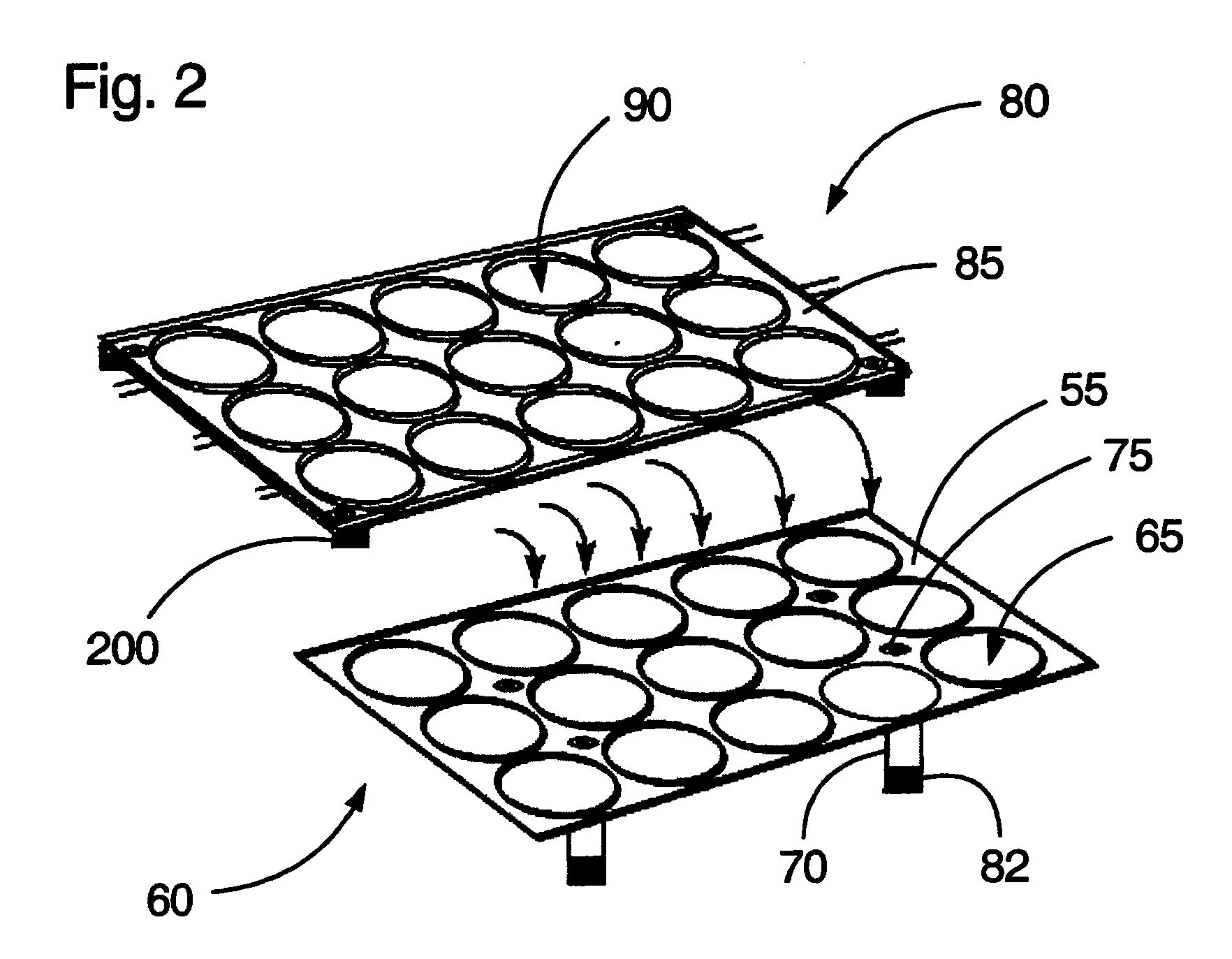 Method and apparatus for culturing marine larvae